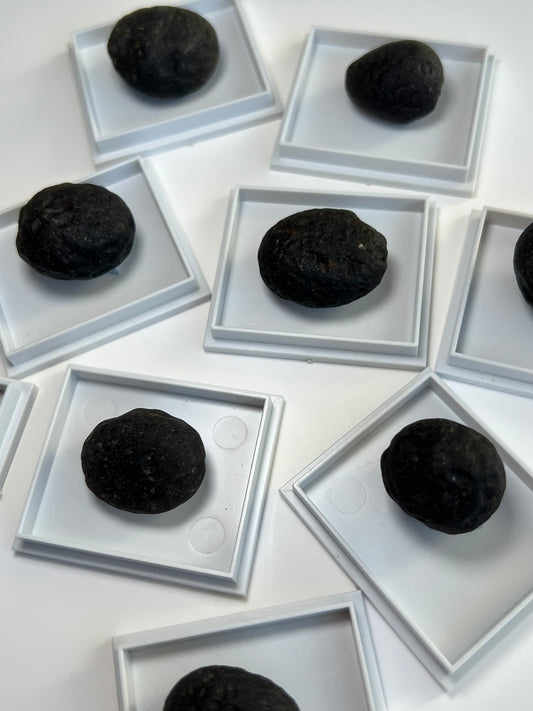 Colombianite Pseudo Tektite With Box