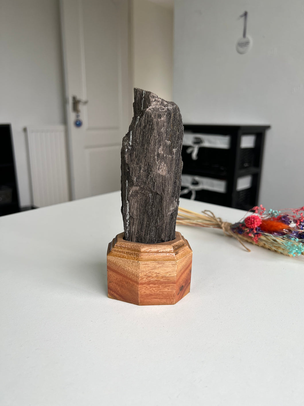 Indonesian Perimineralized Wood On Custom Wooden Stand