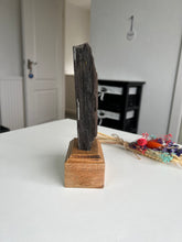 Load image into Gallery viewer, Indonesian Perimineralized Wood On Custom Wooden Stand
