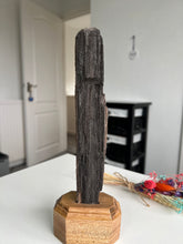 Load image into Gallery viewer, Indonesian Perimineralized Wood On Custom Wooden Stand
