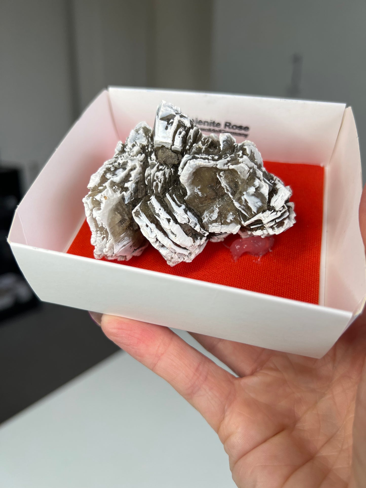 Rare Selenite Rose