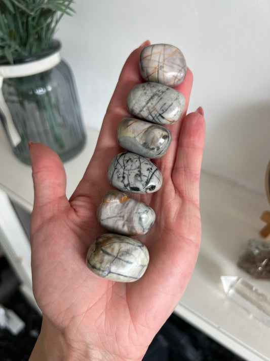 Utah Picasso Jasper Tumbles