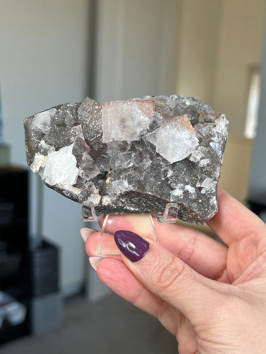 Mexican EL Filo Fluorite With Stand