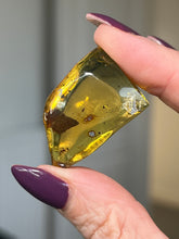 Load image into Gallery viewer, Mexican Chiapas Amber With Display Stand
